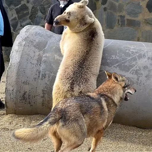 066af2d1a342bbc158800666c6a01151