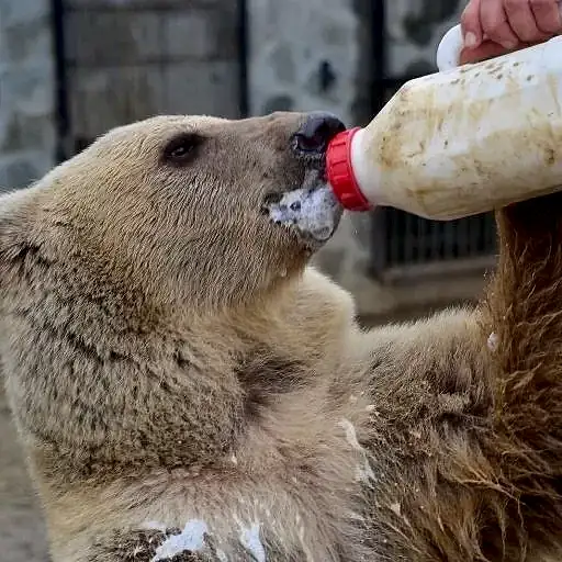 728684629dd7af31e40eaed84b5fa2a2