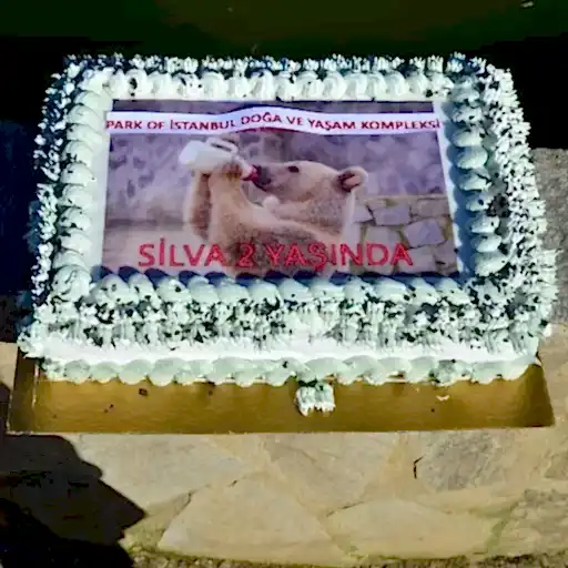 9afc48ff31f677306948384c0390e92e