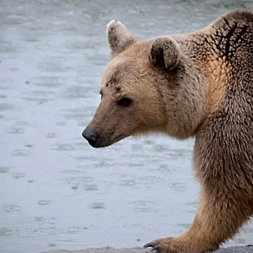 a4ca4060ecce10c35e56b783b47749c0