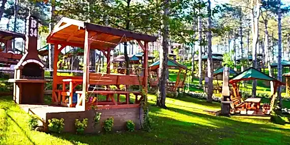 Mesire AlanÃ„Â±